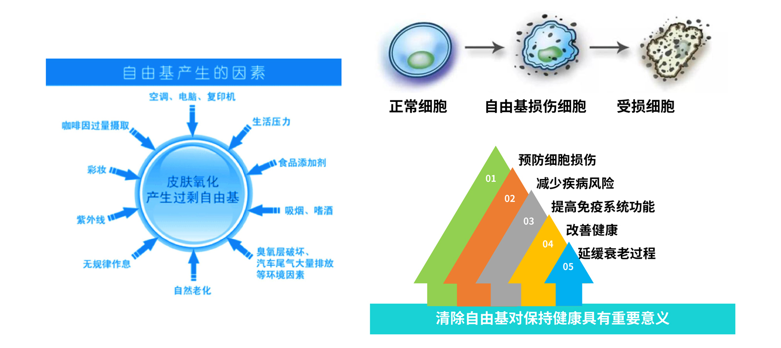 弘康未來(lái)-產(chǎn)品介紹2024-23.jpg